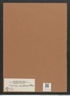 Navicula caribaea Cleve (de-Toni-Nr.: Genus 1, Species 335) Zeichnungen Sammlung Grunow Mappe 00299 (Herbarium_W_Grunow_drawings_Folder_00299)
